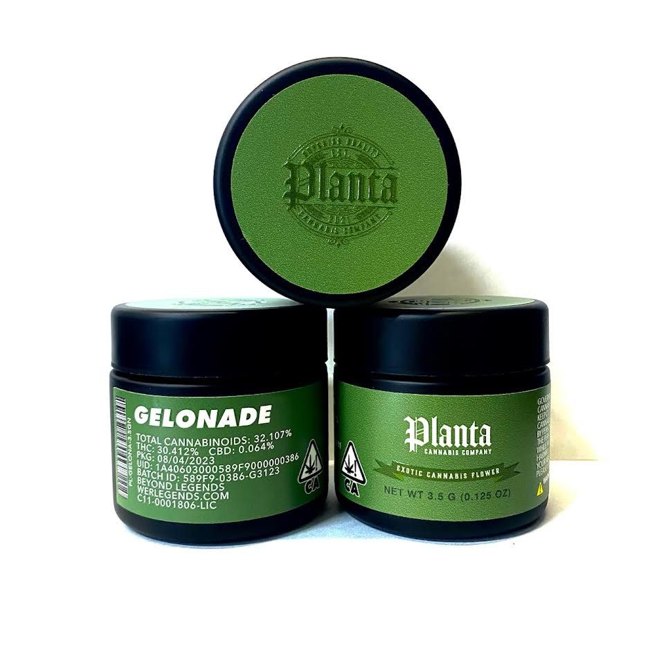 B. Planta Cannabis Company 3.5g Flower - Quality 9.5/10 - Gelonade