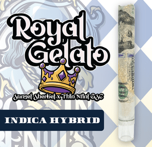 RR|Bossin Benji|Royal Gelato