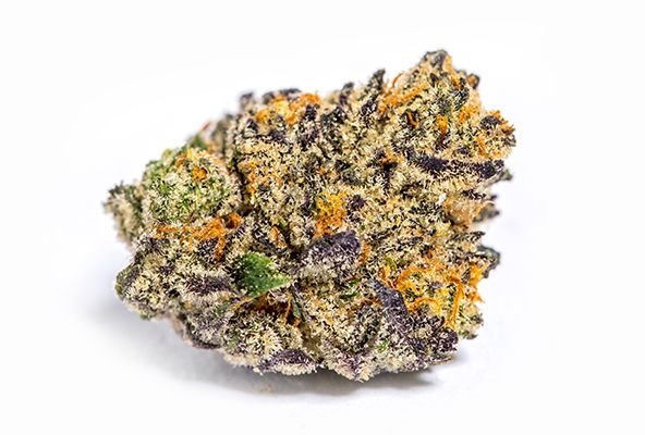 Bootylicious #4 3.5g - (Rev Clincs)