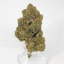 Blueberry Killer Cupcake