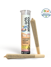 Coastal Sun - Tropicana Sherbet 2pk Infused Prerolls 1.5g