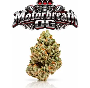 MOTORBREATH OG - 14G | INDOOR FLOWER | INDICA