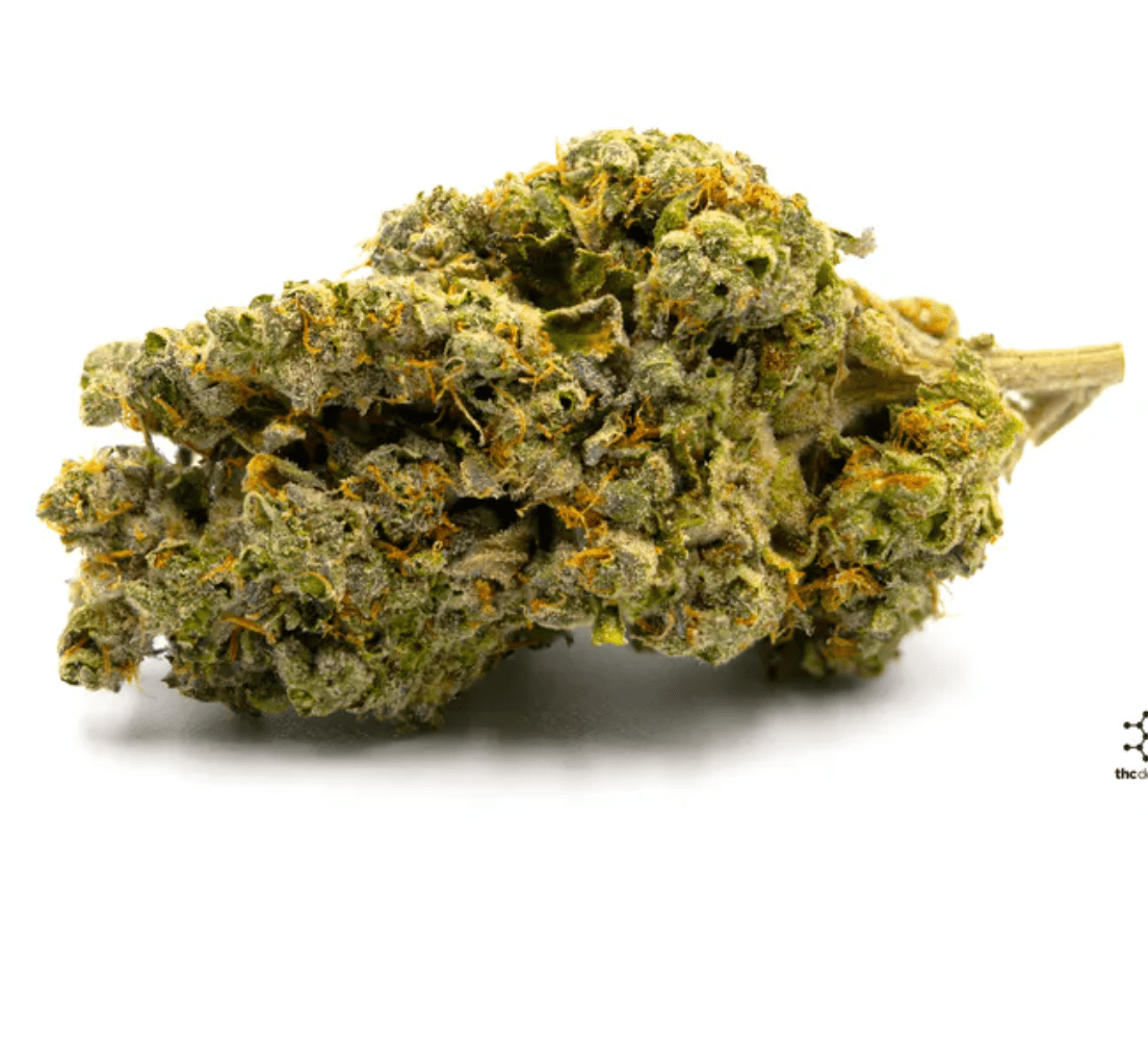 THC Design Crescendo