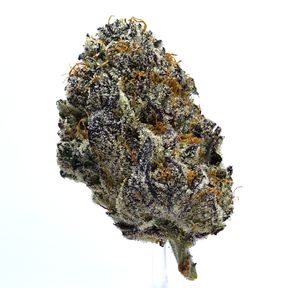 Exploding Pineapple | SALE!