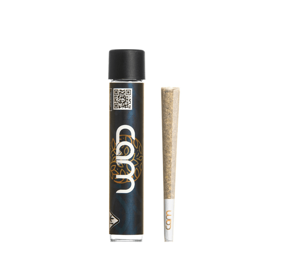 Cam | Preroll | 1g | Kush Mints